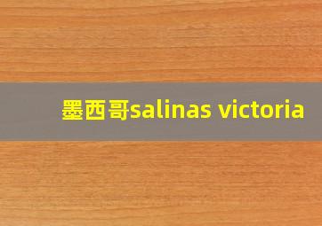 墨西哥salinas victoria